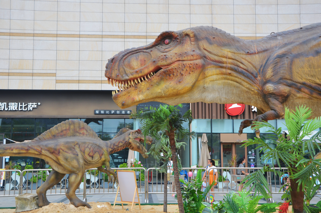 編者按 星盛商業自2004年成立以來，秉承“以商業智慧構築城市繁榮”的經營理念。在這18年中，不斷的深耕大灣區，大力發展長三角地區，趁勢開拓西南地區，一步一個腳印，在近30個城市中留下屬於星盛商業的足跡。 從鮮爲人知的小漁村到一個國際大都市，深圳只花了短短几十年的時間就完成了傳奇蛻變，星盛商業在這裏起步，隨着深圳發展的腳步，持續與深圳共生長，煥新城市商業面貌，帶來全新消費體驗。  2006年星盛商業運營的首個項目深圳福田星河COCO Park正式開業，商場突破傳統的建築格局，在正中間打造了6000平方米下沉式露天廣場和獨具特色的星空棧道，營造出了“公園”式休閒購物體驗的氛圍，迎合當下消費者對空間體驗社交功能的新需求，集休閒、購物、餐飲及娛樂於一身，給深圳市民帶來全新的消費體驗，開業首日客流量便突破21萬人次。 深圳福田星河COCO Park 這種超前的建築新格局不僅創新了深圳商業市場，同樣也是國內首個公園情景式購物中心，自開業以來，深圳福田星河COCO Park在深圳商業市場中的影響力，一直位居前列。  成功打造標杆項目深圳福田星河COCO Park後，星盛商...