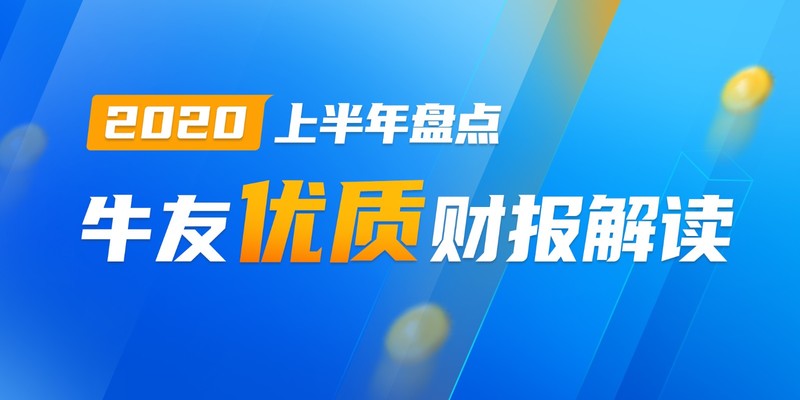 【年中盘点】牛友优质财报解读TOP10