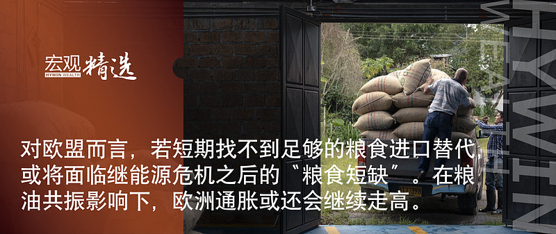 海銀研究院熱點快評：俄羅斯動用「糧食武器」，影響有多大？