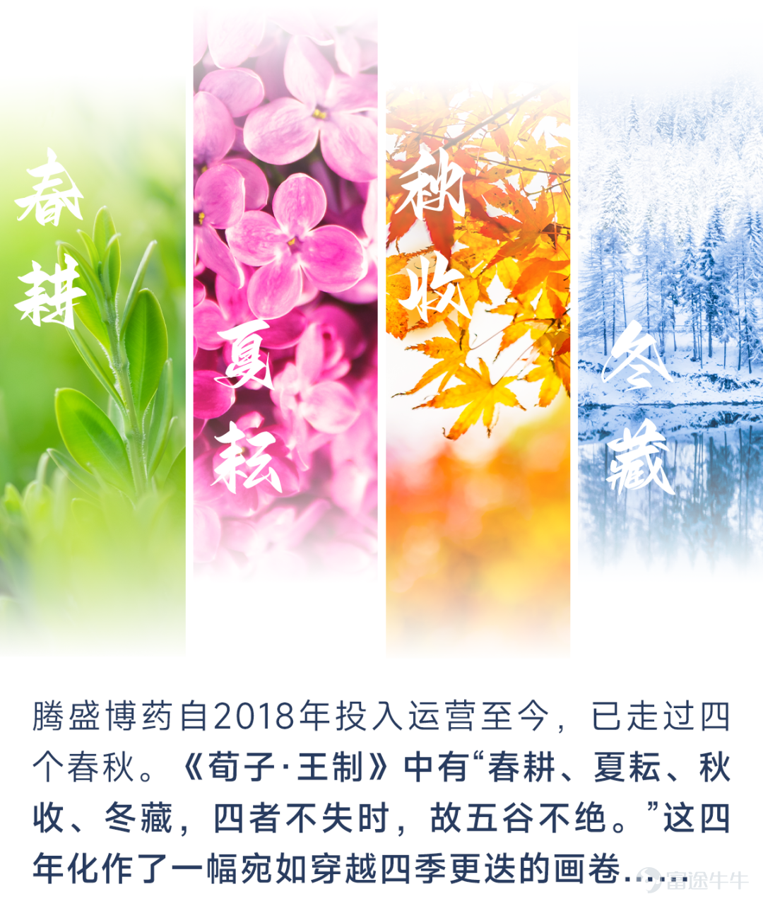 腾盛博药四周年庆：春华秋实，蓄势待发