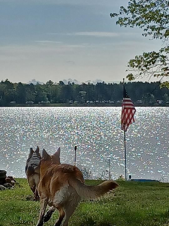 Happy 4th From The Great Lakes ⛱️