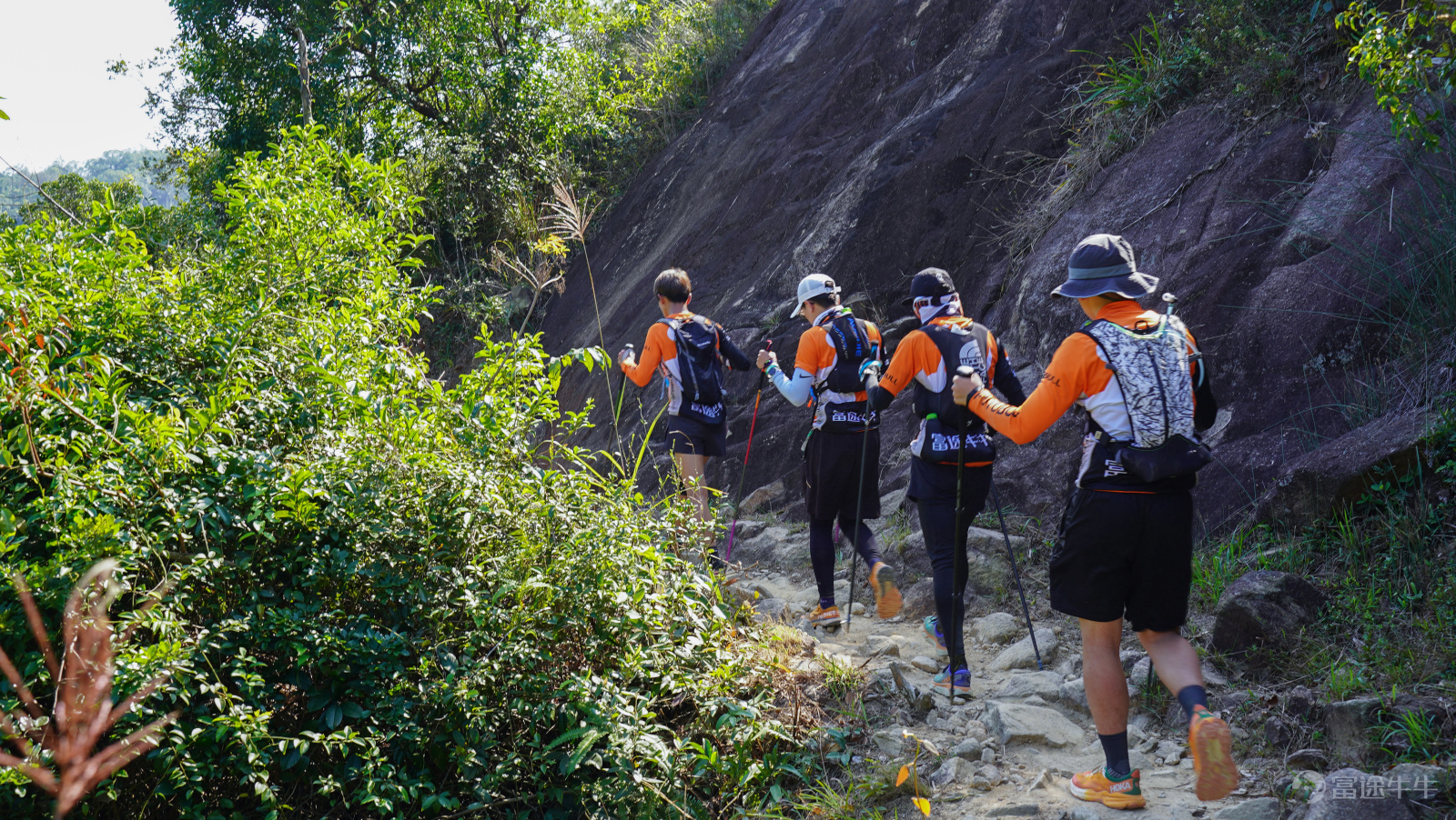 Hard Climbing on Team's Persevering Journey