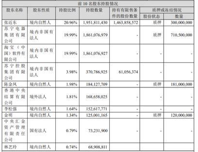 起底蘇寧質押風波，你在第幾層？