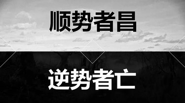 投資基礎課——投資分為哪些流派？