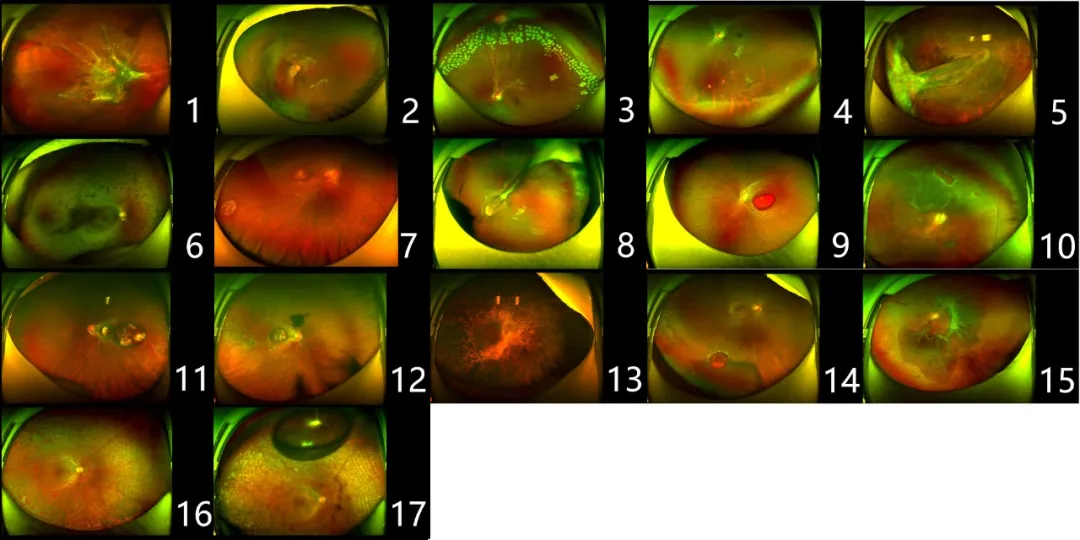 Selected Outstanding Works by Case Study