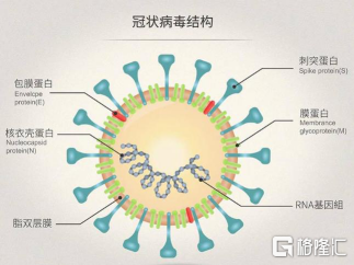 2021年11月26日，世界卫生组织（WHO）将南非报告的新冠突变株B.1.1.529列入关注清单，命名为Omicron(奥密克戎）。近几周南非新冠病毒检测结果阳性比例大幅飙升，目前南非、博茨瓦纳、香港等地均出现该突变株。根据南非当地卫生官员对早期检测结果的汇报，24日豪登省出现的约1100例新增病例中，90%都是由这种新变种病毒引发，远超德尔塔等前期变异毒株同期水平。   南非新冠毒株基因型占比 资料来源：NICD，国盛证券研究所 面对新冠变异毒株奥密克戎的突袭，上周五晚外围市场集体大跌，纳斯达克指数暴跌2.23%，道琼斯指数大跌2.53%，抗疫概念股逆势大涨，辉瑞大涨6.11%，Moderna大涨20.57%。 回看国内市场，市场整体情绪较为稳定，并没有出现太大恐慌。抗疫概念受到追捧，细分来看新冠检测板块集体大涨，硕世生物大涨14%，之江生物大涨11%。（多家检测公司表示其新冠检测试剂盒针对变异株均不会出现脱靶和漏检，可有效保证检测特异性、准确性与灵敏度。） 新型冠状病毒在世界范围大流行持续，尤其是变异毒株给人类健康造成了极大威胁，确诊病例数不断攀...