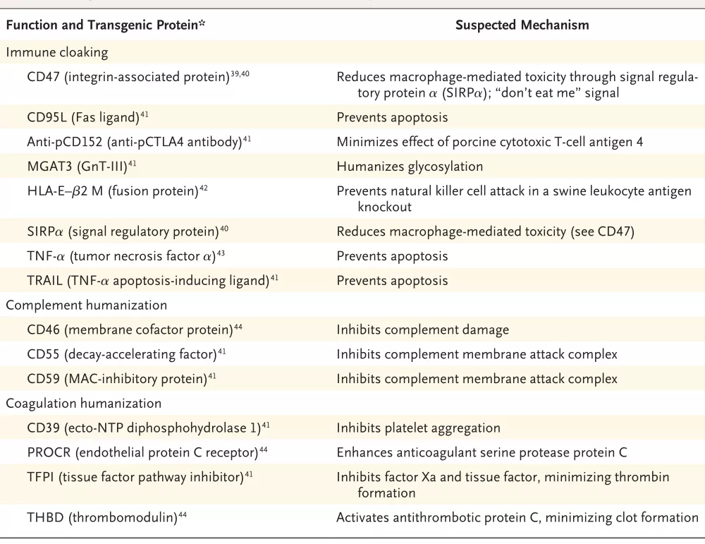57歲的大衞·貝內特患有晚期心臟病,生命岌岌可危。在審查了他的醫療記錄後,貝內特被認為沒有資格進行傳統的心臟移植或人工心臟泵。豬心是“目前唯一可用的選擇”。 “要麼死,要麼做移植手術。我想活下去。我知道這是在黑暗中的一槍,但這是我最後的選擇,”貝內特在手術前説。 為了推進實驗性手術,馬里蘭大學通過其富有同情心的使用計劃在新年前夜獲得了FDA的緊急授權。 大衞·貝內特是幸運的!馬里蘭大學醫學院的醫生們,歷經近八小時,首次成功的將一顆經過基因編輯的豬心臟移植到大衞·貝內特體內。手術3天后,大衞·貝內特的身體狀況仍然良好,沒有發生明顯的器官排斥反應(圖1)。 這是全球首例人類接受豬心臟移植的手術,這顯然是一項開創性的手術,如果被證明成功,將為數以萬計的器官衰竭的患者帶來了希望。 豬:人類異種移植的理想器官來源 器官再生工程的一個重要選擇是使用其他物種的活體捐贈作為來源。這種方法的優勢是巨大的,自然活着的器官是完全功能性的,但跨物種的免疫反應也帶來了挑戰。克服這一限制必須進行基因工程操作。長期以來人們所知的對動物器官的超急性免疫反應在...