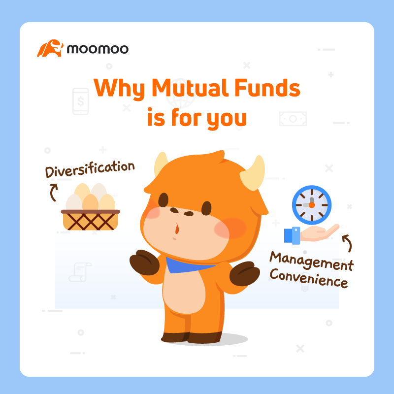https://nnqimage.futunn.com/3366684187428125171.png