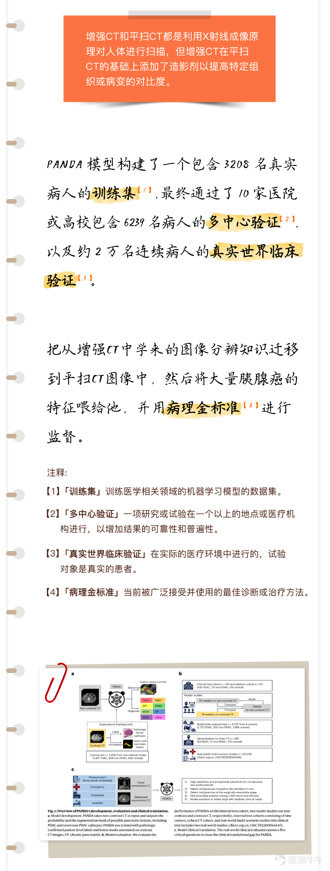 [7張圖片]