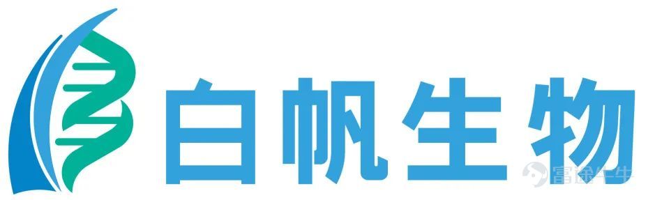 2024年12月20日，重慶博騰製藥科技股份有限公司（以下簡稱「博騰股份」、「博騰」）與白帆生物科技(上海)有限公司（桂林三金孫公司，以下簡稱「白帆生物」）在桂林正式簽署戰略合作協議。此次合作旨在圍繞抗體偶聯藥物（ADC）的研發、生產與供應鏈整合展開深度合作。博騰股份董事長兼總經理居年豐先生，桂林三金董事長鄒洵先生，以及白帆生物總經理譚凱先生等出席簽約儀式。    博騰股份作爲行業領先的端到端一體化CDMO公司，在小分子、多肽與寡核苷酸、ADC（含抗體、Payload-linker、偶聯、製劑罐裝）等偶聯藥物以及細胞與基因治療藥物領域擁有全球領先的技術平台和豐富的成功項目交付經驗。白帆生物在單抗、雙抗、融合蛋白等多種生物藥的研發方面具有獨特的優勢。雙方將整合ADC藥物領域的研發資源、技術力量和生產能力，通過供應鏈資源共享和優勢互補，形成緊密的合作機制，共同構建ADC（含抗體、Payload-linker、偶聯、製劑灌裝）藥物從原液到製劑、從早期研發到商業化生產的全流程一站式服務合作平台。基於此次合作，旨...