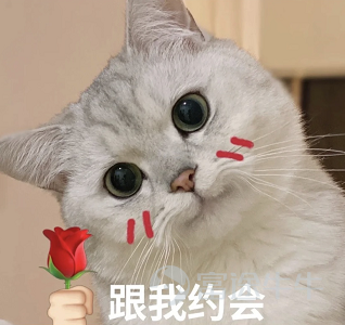 各位牛友们好呀，感谢大家在七夕活动>七夕概念股，你看好哪支？<中的积极参与！[打call] 牛友们的花式答案提供了对七夕股票市场的多角度思考。有牛友理性分析市场走向、犀利洞察优质七夕概念股；还有牛友分享自己七夕和爱人出游、赠送爱人礼物的浪漫瞬间；更有牛友花式表白爱股，决心像伴侣一样陪伴它一生一世…… 七夕已过，活动落下帷幕。一起来看看哪些有趣的留言获得了奖励吧~（排名不分先后哦）  眼光独具奖（5名）：犀利洞察，言之有物，获得牛牛手办[俾我睇下] @德泰雞牛：古代七夕的概念是為僅僅一日長相守，這樣的愛情觀和當今的價值投資理念有共通之處 $小米集團-W (01810.HK)$小米就是這樣一隻和愛情發展類似的股票，公司創始從一碗小米粥開始，一直到2018年10年後成功在香港上市，獲得1810的代碼… 就像愛情一樣一定有波折，但一齊吃過苦就不畏艱難。   @小牛牛鴨：七夕傳說延伸概念股 愛侶相聚，情比金堅 $SPDR金 (02840.HK)$，但金價波幅大，不如「鑽石恆久遠，一卡永留存」 $ANGLO AMERICAN (AAUKF.US)$。牛郎364日搵搵埋...