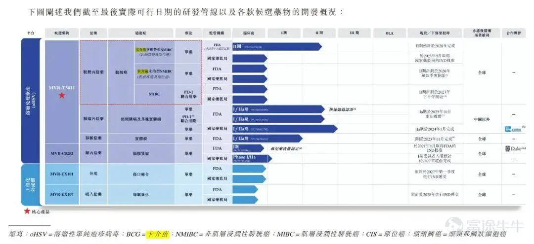 Produced by | Bullet Finance Author | Meng Xiangna Edited by Hu Fangjie Art Direction by | Qianqian Reviewed | Songwen When an innovative biopharmaceutical company’s cash reserves are sufficient only for a few months of operations, its survival no longer hinges solely on the strength of its clinical data but becomes tightly linked to financing windows in capital markets. In July 2026, Yiviva Medical filed its prospectus with the Hong Kong Stock Exchange for the third time. The filing revealed the company’s extremely dire financial situation—As of May 31, 2026, its cash and cash equivalents stood at just RMB 17.04 million. For a biotech firm with multiple clinical-stage pipelines, such limited reserves indicate severely constrained operational runway. Founded 11 years ago and having completed seven rounds of financing, the company counts among its backers top-tier investors including CGC Healthcare Capital, Hillhouse Capital, and Shanghai Biopharmaceutical Industry Equity Investment Fund. Led by founder Zhou Guoying, the team was once regarded as a pioneer in China’s oncolytic virus field—simultaneously advancing novel oncolytic virus therapies for cancer treatment while also developing engineered exosomes for applications in medical aesthetics and disease therapy, aiming to open commercialization pathways through this dual-pronged strategy. However, investors face a critical question: In the oncolytic virus sector—which had a global market size of merely USD 100 million in 2025 and a compound annual growth rate below 7% over the past six years—can Yiviva Medical break the curse of 'hype without commercialization'? And can its much-anticipated engineered exosome platform become...