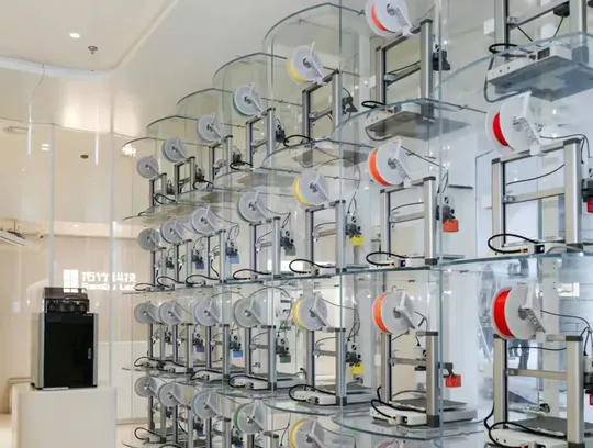 The Endgame Debate in the 3D Printing Industry: Will It Be 'One Dominant Player with Several Strong Competitors' or 'One Dominant Player with Numerous Weak Ones'?