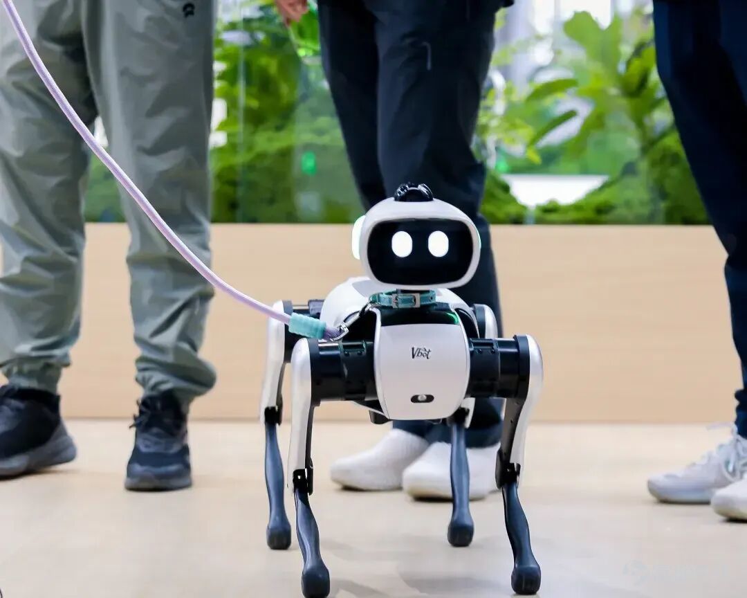 Vita Dynamics has unveiled a 'chimera' robot—a quadrupedal machine with a robotic arm mounted on its back. Despite raising nearly RMB 800 million in financing over the past year since its founding, the company has yet to launch a humanoid robot product. Its newly released 'Big Head EDU' targets developers and features a pre-installed expansion interface on its back for attaching robotic arms. This combination of a robotic dog and an arm can perform household tasks such as feeding cats, pulling curtains, picking up clutter, and doing laundry. Founder Yu Yinan believes this configuration represents the minimal viable unit for robots entering homes. Compared to bipedal humanoids, a four-legged base paired with a robotic arm is far more practical for real-world deployment. Vita Dynamics plans to first accumulate supply chain and mass production experience through its robotic dog products before gradually evolving toward humanoid robots. Article author and source: 36Kr Can it really get things done—with just one arm?  Chinese robotics companies still have way too much imagination. Today’s embodied intelligence companies are either desperately making robots look more human—complete with two legs, two arms, and ten fingers—or sticking to the quadruped path, refining robotic dogs to resemble intelligent, obedient real ones. Vita Dynamics, however, has created a 'chimera': A robotic dog with a mechanical arm growing out of its back. In July 2026, Vita Dynamics launched the 'Big Head EDU Edition,' a quadrupedal robot platform designed for developers, research labs, and corporate R&D teams, featuring pre-reserved expansion interfaces on its back for components like robotic arms. Simply attach a robotic arm to the expansion interface, and—voilà—a robotic dog with a hand on its back is born. Aside from creating a 'mythical chimera,' Vitech Robotics has another interesting contrast....
