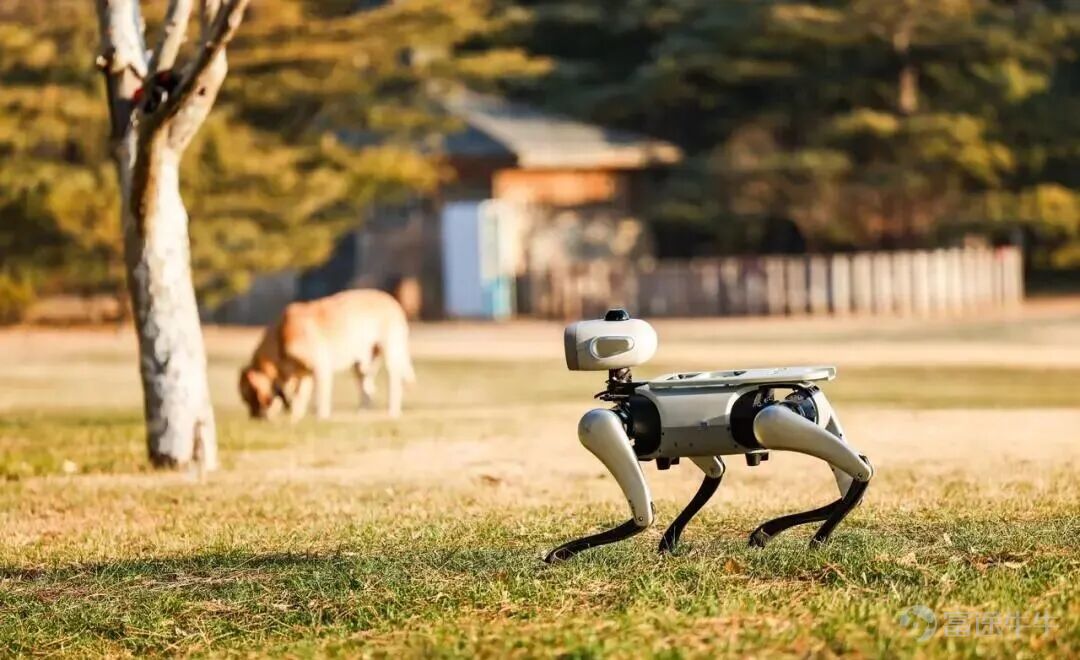 Vita Dynamics has unveiled a 'chimera' robot—a quadrupedal machine with a robotic arm mounted on its back. Despite raising nearly RMB 800 million in financing over the past year since its founding, the company has yet to launch a humanoid robot product. Its newly released 'Big Head EDU' targets developers and features a pre-installed expansion interface on its back for attaching robotic arms. This combination of a robotic dog and an arm can perform household tasks such as feeding cats, pulling curtains, picking up clutter, and doing laundry. Founder Yu Yinan believes this configuration represents the minimal viable unit for robots entering homes. Compared to bipedal humanoids, a four-legged base paired with a robotic arm is far more practical for real-world deployment. Vita Dynamics plans to first accumulate supply chain and mass production experience through its robotic dog products before gradually evolving toward humanoid robots. Article author and source: 36Kr Can it really get things done—with just one arm?  Chinese robotics companies still have way too much imagination. Today’s embodied intelligence companies are either desperately making robots look more human—complete with two legs, two arms, and ten fingers—or sticking to the quadruped path, refining robotic dogs to resemble intelligent, obedient real ones. Vita Dynamics, however, has created a 'chimera': A robotic dog with a mechanical arm growing out of its back. In July 2026, Vita Dynamics launched the 'Big Head EDU Edition,' a quadrupedal robot platform designed for developers, research labs, and corporate R&D teams, featuring pre-reserved expansion interfaces on its back for components like robotic arms. Simply attach a robotic arm to the expansion interface, and—voilà—a robotic dog with a hand on its back is born. Aside from creating a 'mythical chimera,' Vitech Robotics has another interesting contrast....