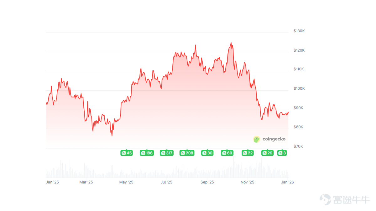 Data Source: Coingecko, MicroBit, as of January 2, 2026. Investing involves risks, and past performance is not indicative of future results.