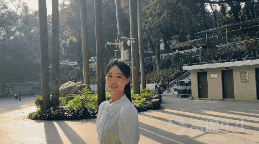 In October last year, DJI released its latest smartphone gimbal, the Osmo Mobile 8. It made me curious why, after the P version of Osmo Mobile 7 was just released, it disappeared in this 8th generation. Does DJI think that the Osmo Mobile 8 is already flagship-worthy? (Image Source: Lei Technology Photography) These questions vanished with the arrival of the Osmo Mobile 8P. Without further ado, let's dive into the hands-on experience. In terms of pricing, the standard kit for the DJI Osmo Mobile 8P is priced at 899 yuan, the AI tracking kit at 1099 yuan, and the all-in-one Vlog kit at 1299 yuan. Compact and portable, with thoughtful design details fully optimized Unlike the RS stabilizer series used for cameras, the Osmo Mobile emphasizes simplicity: you know how to use it as soon as you take it out — the structure is simple, the button logic is clear, and simply flipping up the gimbal arm turns on the machine and puts it directly into working mode in less than a second. (Image Source: Lei Technology Photography) Moreover, Osmo Mobile 8P has been comprehensively upgraded in many details. First, there’s the most frequently used extension rod and tripod, which received an integrated upgrade this time. The tripod, in particular, now has a wider range when unfolded, allowing it to be more stable whether placed on a desk or uneven grass. Comparing...