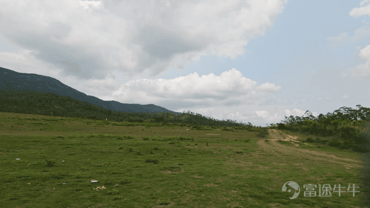 In October last year, DJI released its latest smartphone gimbal, the Osmo Mobile 8. It made me curious why, after the P version of Osmo Mobile 7 was just released, it disappeared in this 8th generation. Does DJI think that the Osmo Mobile 8 is already flagship-worthy? (Image Source: Lei Technology Photography) These questions vanished with the arrival of the Osmo Mobile 8P. Without further ado, let's dive into the hands-on experience. In terms of pricing, the standard kit for the DJI Osmo Mobile 8P is priced at 899 yuan, the AI tracking kit at 1099 yuan, and the all-in-one Vlog kit at 1299 yuan. Compact and portable, with thoughtful design details fully optimized Unlike the RS stabilizer series used for cameras, the Osmo Mobile emphasizes simplicity: you know how to use it as soon as you take it out — the structure is simple, the button logic is clear, and simply flipping up the gimbal arm turns on the machine and puts it directly into working mode in less than a second. (Image Source: Lei Technology Photography) Moreover, Osmo Mobile 8P has been comprehensively upgraded in many details. First, there’s the most frequently used extension rod and tripod, which received an integrated upgrade this time. The tripod, in particular, now has a wider range when unfolded, allowing it to be more stable whether placed on a desk or uneven grass. Comparing...