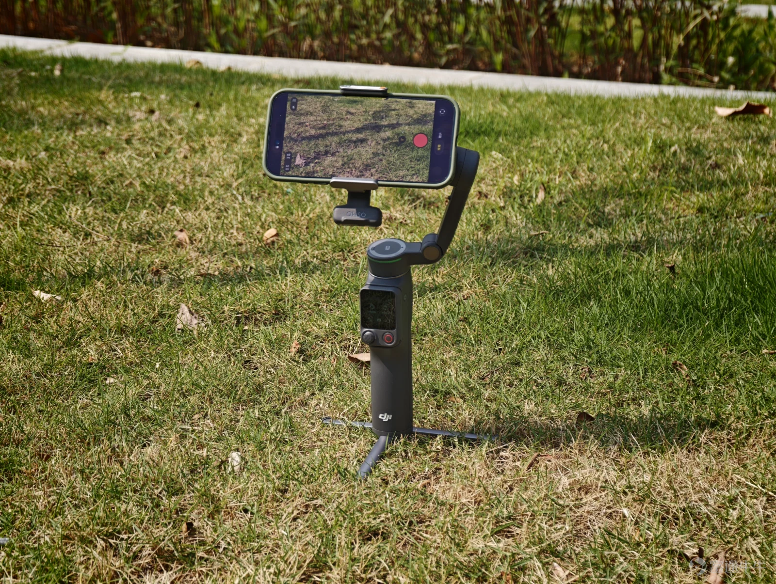 In October last year, DJI released its latest smartphone gimbal, the Osmo Mobile 8. It made me curious why, after the P version of Osmo Mobile 7 was just released, it disappeared in this 8th generation. Does DJI think that the Osmo Mobile 8 is already flagship-worthy? (Image Source: Lei Technology Photography) These questions vanished with the arrival of the Osmo Mobile 8P. Without further ado, let's dive into the hands-on experience. In terms of pricing, the standard kit for the DJI Osmo Mobile 8P is priced at 899 yuan, the AI tracking kit at 1099 yuan, and the all-in-one Vlog kit at 1299 yuan. Compact and portable, with thoughtful design details fully optimized Unlike the RS stabilizer series used for cameras, the Osmo Mobile emphasizes simplicity: you know how to use it as soon as you take it out — the structure is simple, the button logic is clear, and simply flipping up the gimbal arm turns on the machine and puts it directly into working mode in less than a second. (Image Source: Lei Technology Photography) Moreover, Osmo Mobile 8P has been comprehensively upgraded in many details. First, there’s the most frequently used extension rod and tripod, which received an integrated upgrade this time. The tripod, in particular, now has a wider range when unfolded, allowing it to be more stable whether placed on a desk or uneven grass. Comparing...