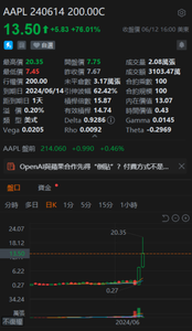 美股牛氣沖天，是否可以順勢追入?