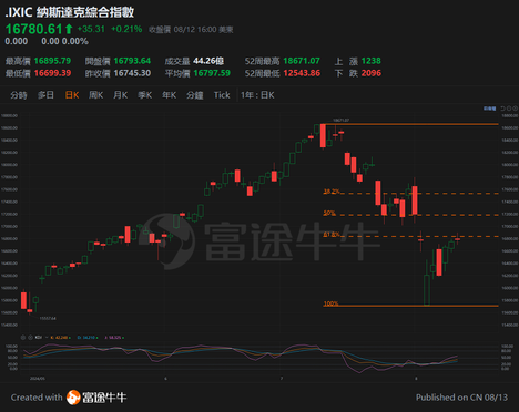Hong Kong stocks share network lead performance comparison