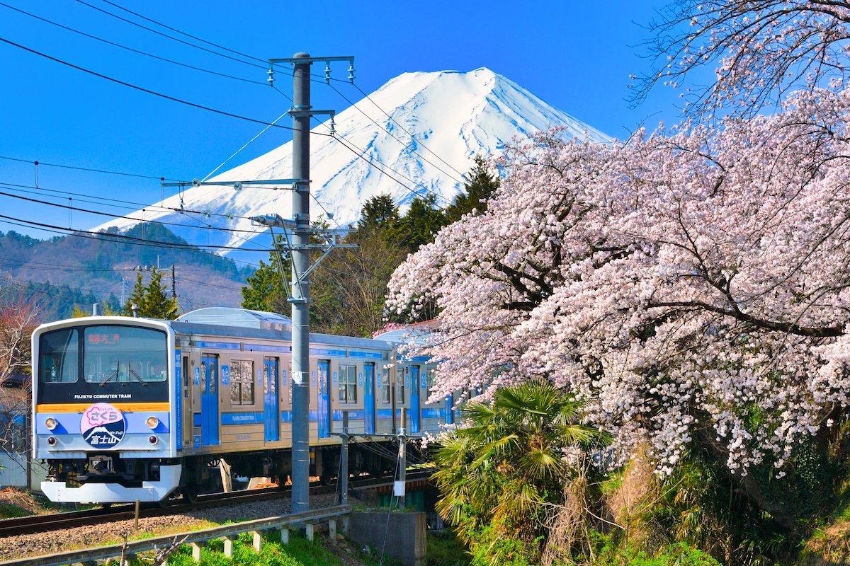 Japan's tourism boom and the sharing of the concept sector for foreign visitors to Japan.