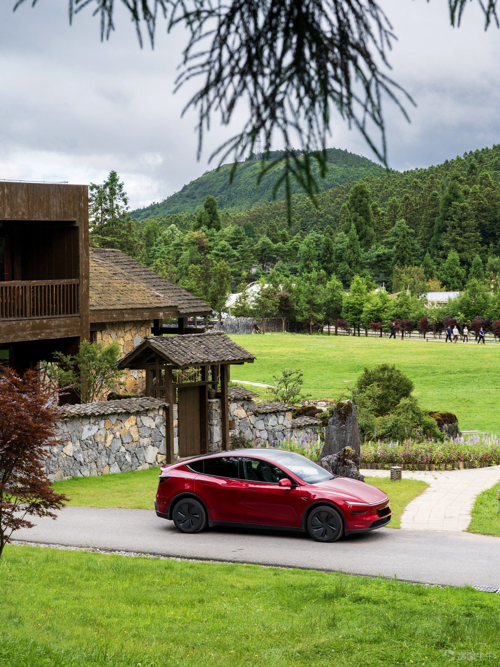 穿行林間草場，偶遇可愛羊駝🦙 山野間，自有好風景 📍：重慶武隆·仙女山 📸：公路映畫