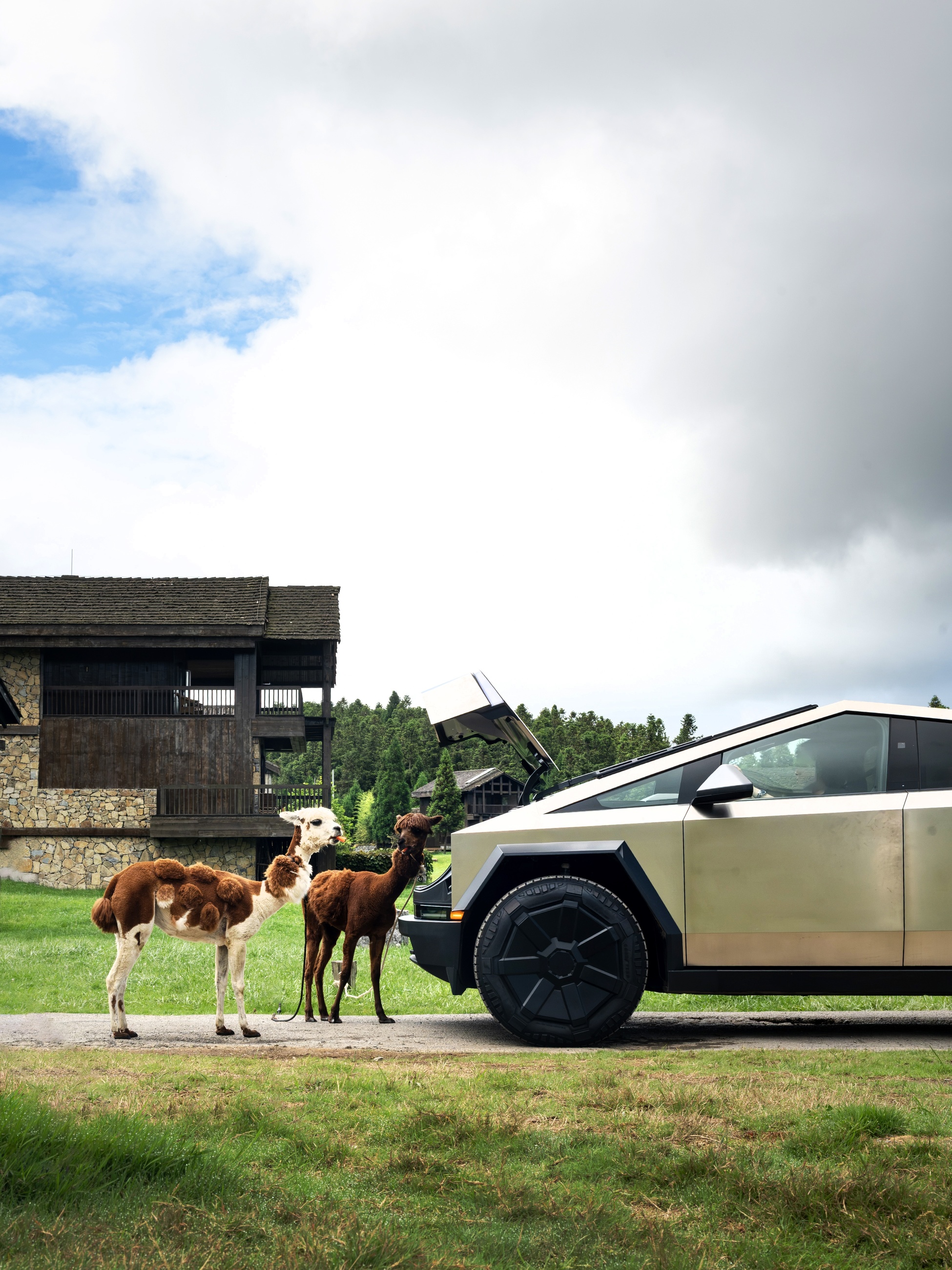 The Model Y and Cybertruck cruise into Fairy Mountain at a pleasant 21°C 🌿