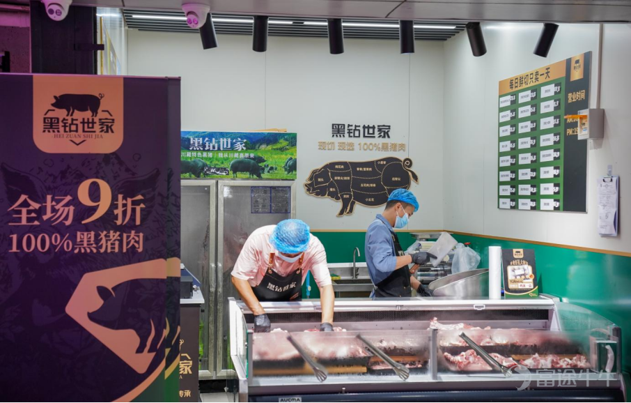 自2023年與高金食品開啓深度合作、探索黑豬訂單養殖模式以來，叮咚買菜$叮咚買菜 (DDL.US)$ 在黑豬產業的佈局持續向縱深推進。記者獲悉，近日，叮咚買菜旗下自有黑豬肉品牌「黑鑽世家」迎來新進展：正式投資源頭養殖公司，計劃未來一年內投苗3萬頭特色黑豬，並同步加速「黑鑽世家」專賣店佈局，今年目標從現有5家增至15-20家。這一系列動作標誌着叮咚買菜在黑豬產業「產業深耕」的戰略推進，爲肉類生鮮行業構建全鏈路供應鏈提供了新樣本。 從「賣豬」到「養豬」：叮咚買菜打通上游養殖鏈 在雲南彝良群山深處，一片被險峻峯巒環繞的牧場內，黑豬們正在欄舍後的運動場上活動。這裏地處烏金豬起源地核心區，層疊山勢形成天然隔離帶，將牧場與外界居隔絕，造就了「世外桃源」 般的純淨養殖環境。作爲叮咚買菜與高金食品合作的核心養殖基地之一，這裏承載着黑豬產業上游佈局的關鍵一環。 「我們不僅要賣好豬肉，更要從源頭養好豬。」叮咚買菜相關負責人表示。「黑鑽世家」特色黑豬由烏金黑豬與川鄉黑豬雜交而成，既保留了藏豬肉質鮮美的特性，又通過品種改良提升了生長效率，其肌間脂肪含量達4.28%，是普通白...