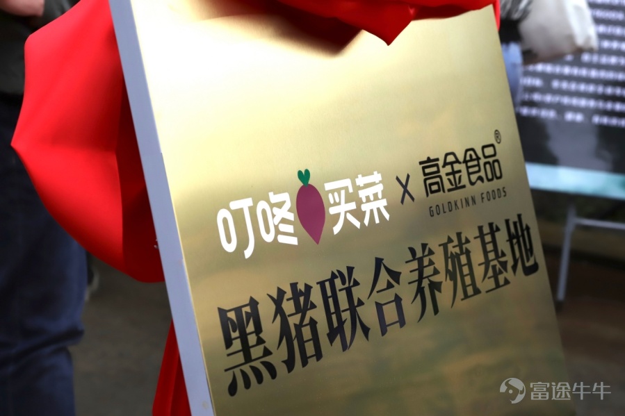自2023年與高金食品開啓深度合作、探索黑豬訂單養殖模式以來，叮咚買菜$叮咚買菜 (DDL.US)$ 在黑豬產業的佈局持續向縱深推進。記者獲悉，近日，叮咚買菜旗下自有黑豬肉品牌「黑鑽世家」迎來新進展：正式投資源頭養殖公司，計劃未來一年內投苗3萬頭特色黑豬，並同步加速「黑鑽世家」專賣店佈局，今年目標從現有5家增至15-20家。這一系列動作標誌着叮咚買菜在黑豬產業「產業深耕」的戰略推進，爲肉類生鮮行業構建全鏈路供應鏈提供了新樣本。 從「賣豬」到「養豬」：叮咚買菜打通上游養殖鏈 在雲南彝良群山深處，一片被險峻峯巒環繞的牧場內，黑豬們正在欄舍後的運動場上活動。這裏地處烏金豬起源地核心區，層疊山勢形成天然隔離帶，將牧場與外界居隔絕，造就了「世外桃源」 般的純淨養殖環境。作爲叮咚買菜與高金食品合作的核心養殖基地之一，這裏承載着黑豬產業上游佈局的關鍵一環。 「我們不僅要賣好豬肉，更要從源頭養好豬。」叮咚買菜相關負責人表示。「黑鑽世家」特色黑豬由烏金黑豬與川鄉黑豬雜交而成，既保留了藏豬肉質鮮美的特性，又通過品種改良提升了生長效率，其肌間脂肪含量達4.28%，是普通白...