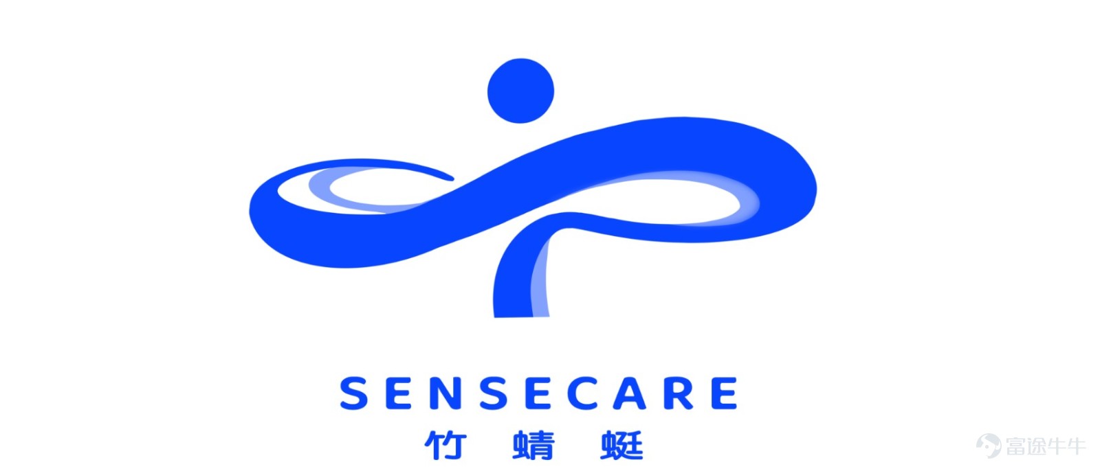SenseTime Healthcare Bamboo Dragonfly Logo