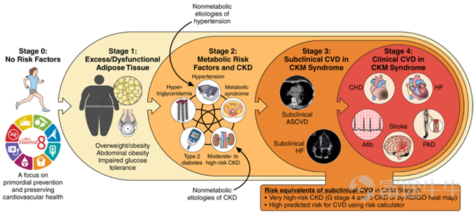 Staging of CKM systemic diseases [1]