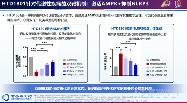 Dual-target mechanism of HTD1801 (Source: 10th Pharmaceutical Innovation and Investment Conference)