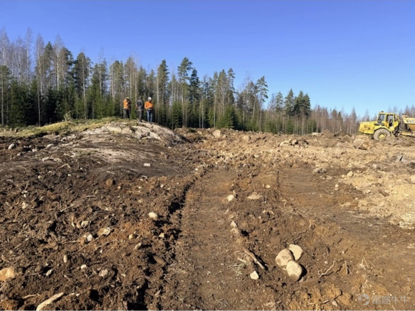Tree felling and site clearance have been completed.