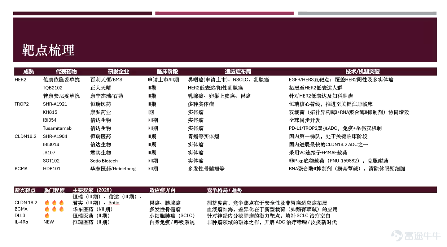 本期（第一期）嘉賓陣容介紹：作爲開欄之作，我們榮幸地邀請到了三位重量級嘉賓：Freya：擁有FRM（金融風險管理師）及CFA（特許金融分析師）雙重認證，深耕醫藥行業多年，專注於創新藥及AI醫療標的研究。Tim：曾任職於知名頭部券商研究部，擁有豐富的行業板塊研究及機構路演經驗，擅長將複雜的市場信息轉化爲清晰的投資邏輯。Joe：富途證券機構及私人財富部執行董事，擁有超過15年的股票交易及研究經驗。他將作爲今天的專業主持，主導後續的互動問答環節。 事不宜遲，我們不僅要看市場的熱鬧，更要看懂背後的門道。首先，讓我們把目光投向生物醫藥領域，有請Freya爲我們帶來2026年最具商業化潛力的賽道解讀。  【核心結論】：2026年ADC爲生物藥核心投資主線，聚焦雙抗ADC等技術突破與細分差異化標的，關注復洪漢霖、映恩生物等低估標的；光通信受益AI算力需求，向1.6T升級，上半年優選Lumentum，長期看Coherent，同時關注上游核心材料以及國產龍頭。 Freya：ADC賽道解析 概念重塑：什麼是「生物導彈」？AD...