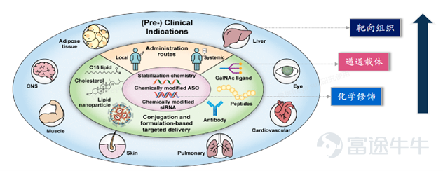 Chart 1: Summary of key technological directions in small nucleic acid therapeutics